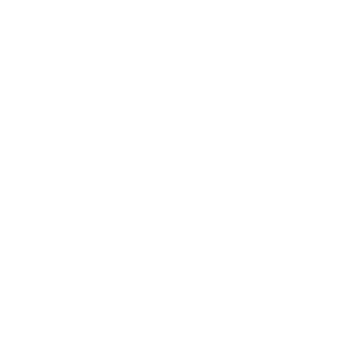 lv star logo